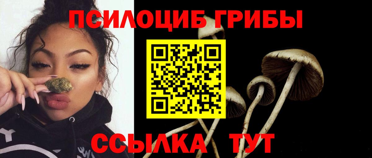 Галлюциногенные грибы Magic Shrooms Ишимбай